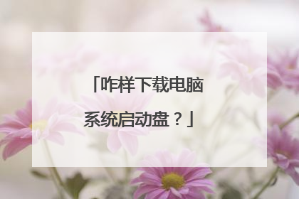 咋样下载电脑系统启动盘?