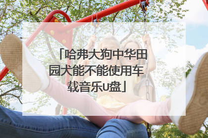 哈弗大狗中华田园犬能不能使用车载音乐U盘