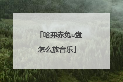 哈弗赤兔u盘怎么放音乐