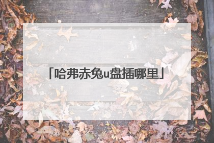 哈弗赤兔u盘插哪里