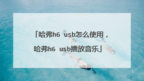 哈弗h6 usb怎么使用,哈弗h6 usb播放音乐