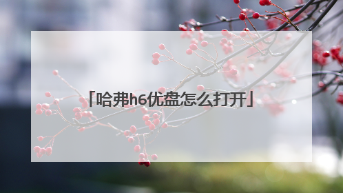 哈弗h6优盘怎么打开