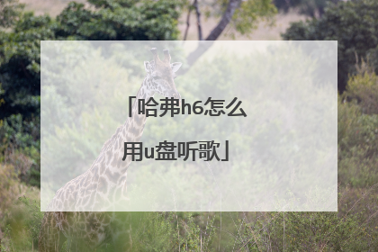 哈弗h6怎么用u盘听歌