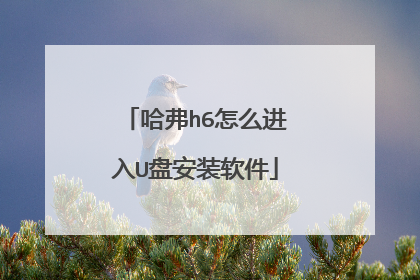 哈弗h6怎么进入U盘安装软件
