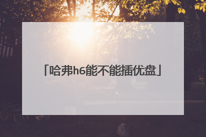 哈弗h6能不能插优盘