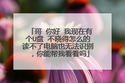哥 你好 我现在有个U盘 不晓得怎么的读不了电脑也无法识别，你能帮我看看吗