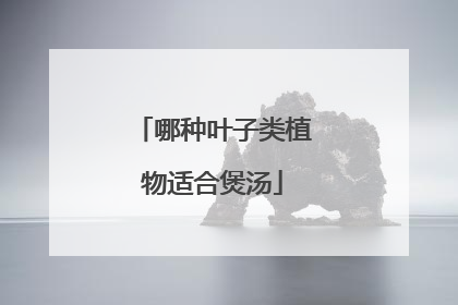 哪种叶子类植物适合煲汤