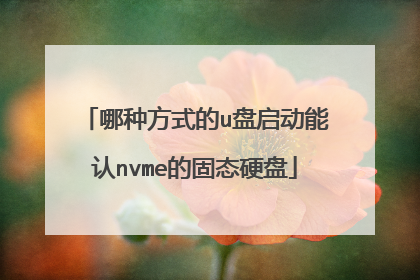 哪种方式的u盘启动能认nvme的固态硬盘