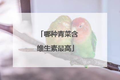 哪种青菜含维生素最高