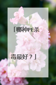 哪种PE杀毒最好？