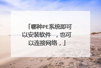 哪种PE系统即可以安装软件 ,也可以连接网络,