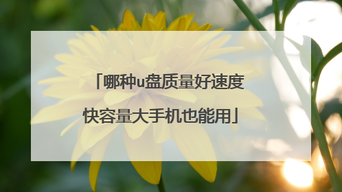 哪种u盘质量好速度快容量大手机也能用