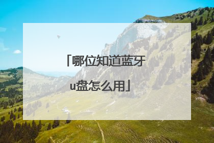 哪位知道蓝牙u盘怎么用