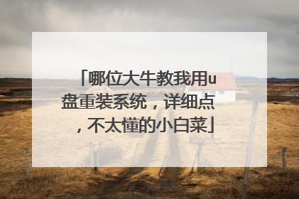 哪位大牛教我用u盘重装系统,详细点,不太懂的小白菜