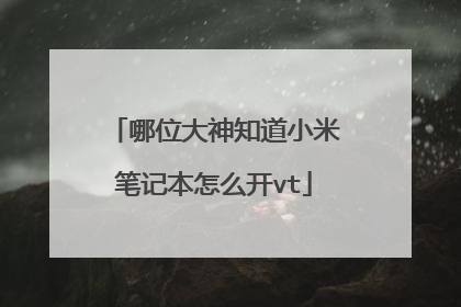 哪位大神知道小米笔记本怎么开vt