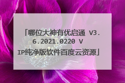 哪位大神有优启通 V3.6.2021.0220 VIP纯净版软件百度云资源