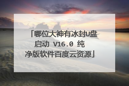 哪位大神有冰封U盘启动 V16.0 纯净版软件百度云资源