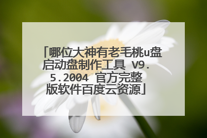 哪位大神有老毛桃u盘启动盘制作工具 V9.5.2004 官方完整版软件百度云资源