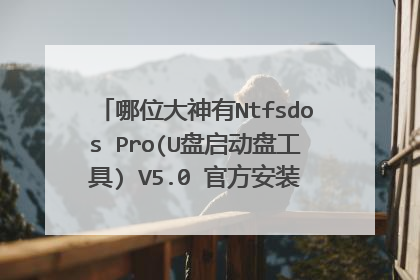 哪位大神有Ntfsdos Pro(U盘启动盘工具) V5.0 官方安装版软件百度云资源