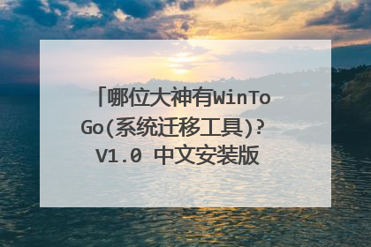 哪位大神有WinToGo(系统迁移工具)? V1.0 中文安装版软件百度云资源
