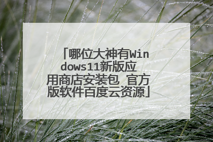 哪位大神有Windows11新版应用商店安装包 官方版软件百度云资源