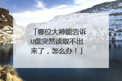 哪位大神能告诉U盘突然读取不出来了,怎么办!