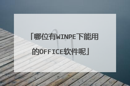 哪位有WINPE下能用的OFFICE软件呢