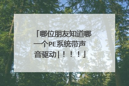 哪位朋友知道哪一个PE系统带声音驱动|!!!