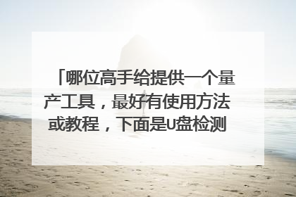 哪位高手给提供一个量产工具,最好有使用方法或教程,下面是U盘检测信息 芯片型号: PS2251-61(PS2261) - F/