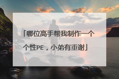 哪位高手帮我制作一个个性PE，小弟有重谢