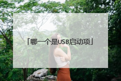 哪一个是USB启动项