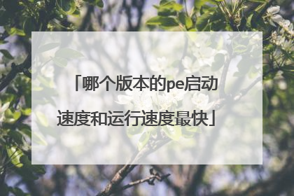 哪个版本的pe启动速度和运行速度最快