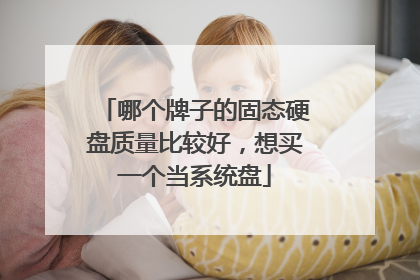 哪个牌子的固态硬盘质量比较好,想买一个当系统盘