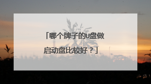 哪个牌子的U盘做启动盘比较好?