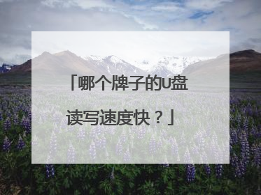 哪个牌子的U盘读写速度快?