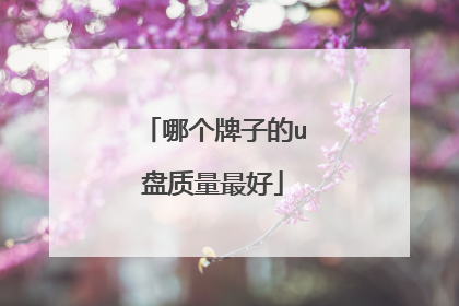 哪个牌子的u盘质量最好