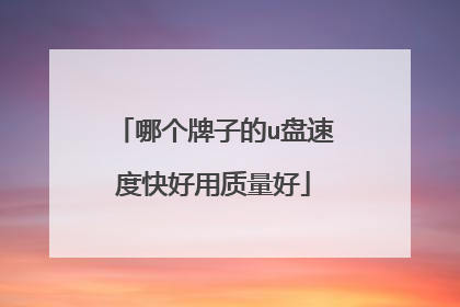哪个牌子的u盘速度快好用质量好