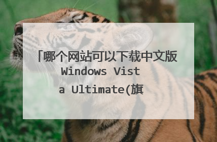 哪个网站可以下载中文版Windows Vista Ultimate(旗舰版)及其多种语言包?