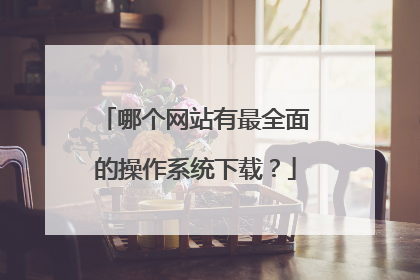 哪个网站有最全面的操作系统下载?