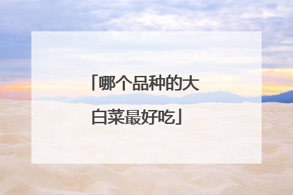 哪个品种的大白菜最好吃