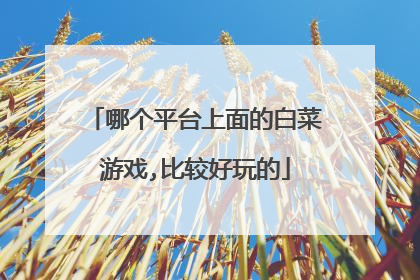 哪个平台上面的白菜游戏,比较好玩的