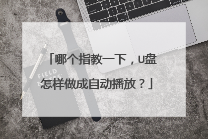 哪个指教一下，U盘怎样做成自动播放？