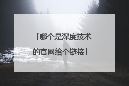 哪个是深度技术的官网给个链接