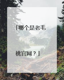 哪个是老毛桃官网?