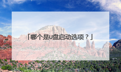 哪个是U盘启动选项?