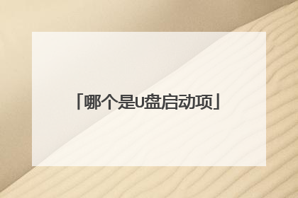 哪个是U盘启动项