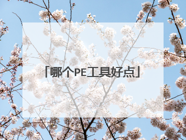 哪个PE工具好点