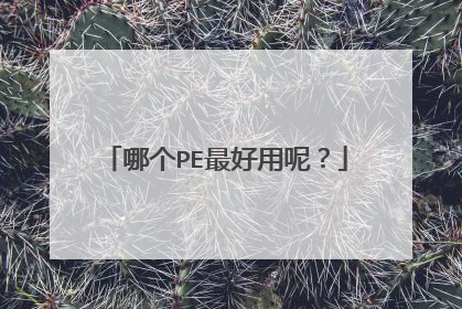 哪个PE最好用呢?