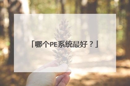 哪个PE系统最好？