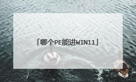 哪个PE能进WIN11